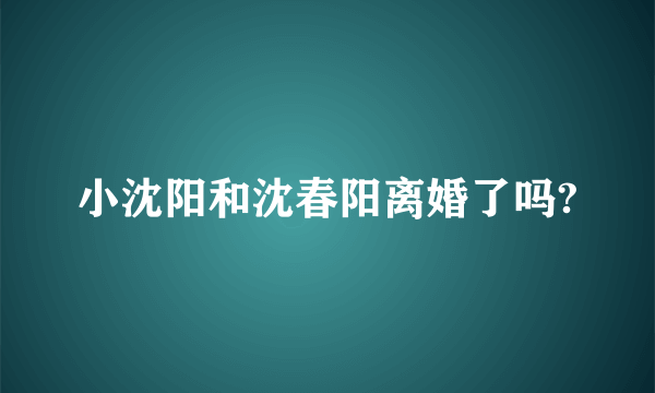 小沈阳和沈春阳离婚了吗?