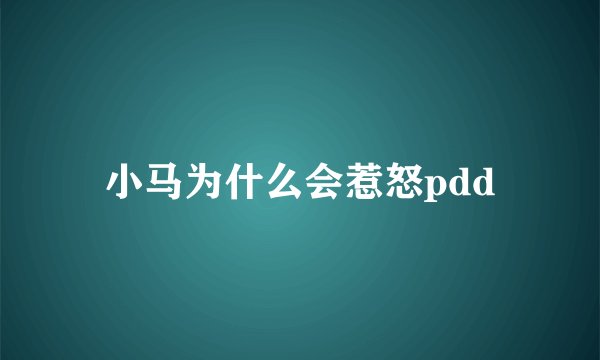 小马为什么会惹怒pdd