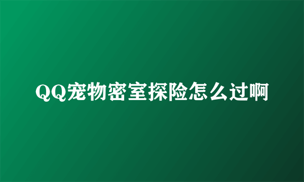 QQ宠物密室探险怎么过啊