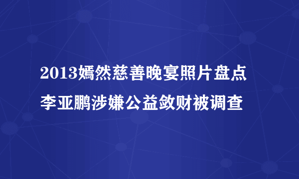 2013嫣然慈善晚宴照片盘点 李亚鹏涉嫌公益敛财被调查