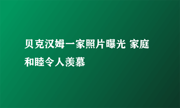 贝克汉姆一家照片曝光 家庭和睦令人羡慕