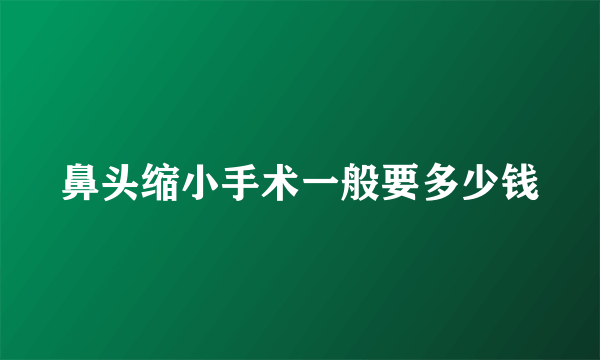 鼻头缩小手术一般要多少钱