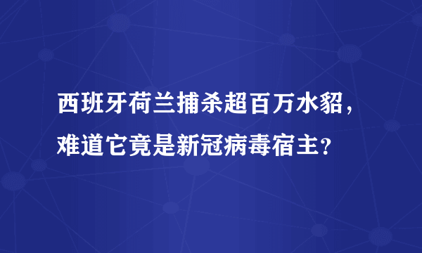 西班牙荷兰捕杀超百万水貂，难道它竟是新冠病毒宿主？