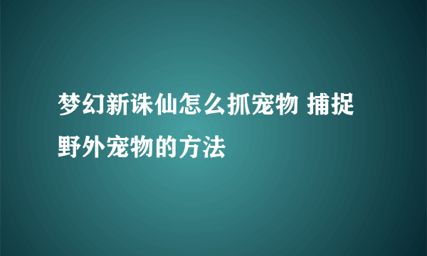 梦幻新诛仙怎么抓宠物 捕捉野外宠物的方法