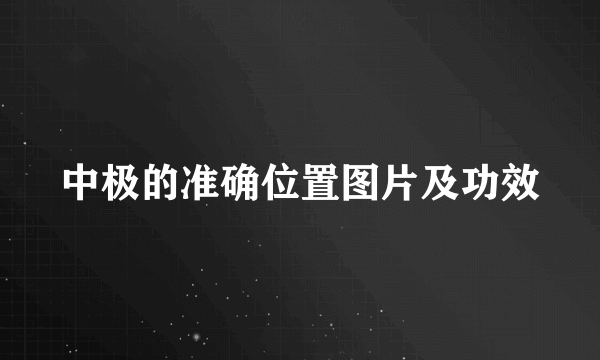 中极的准确位置图片及功效