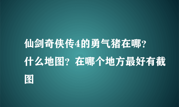 仙剑奇侠传4的勇气猪在哪？什么地图？在哪个地方最好有截图