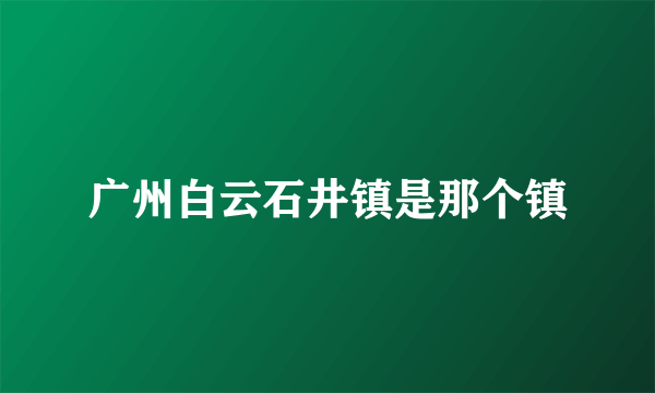 广州白云石井镇是那个镇