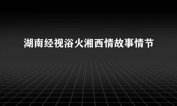 湖南经视浴火湘西情故事情节