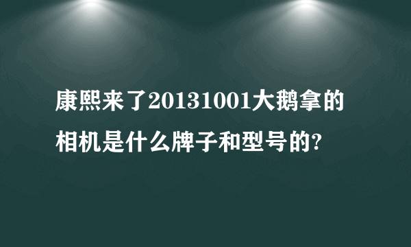 康熙来了20131001大鹅拿的相机是什么牌子和型号的?