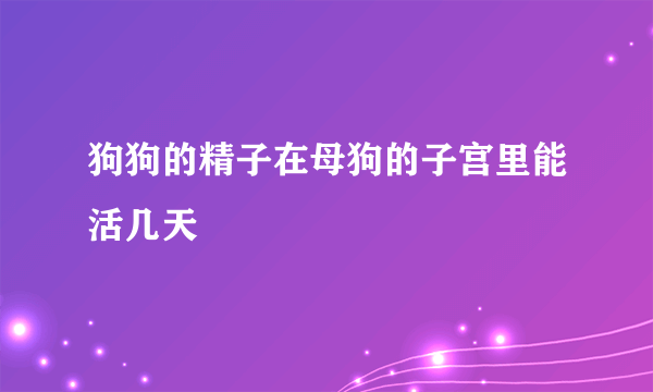 狗狗的精子在母狗的子宫里能活几天