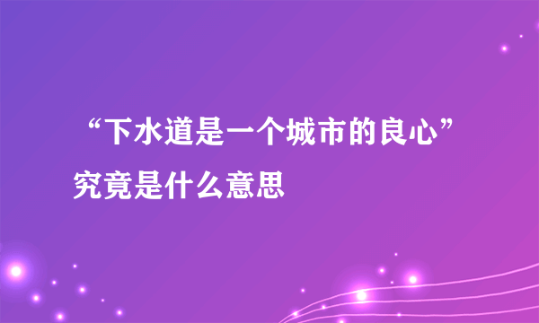 “下水道是一个城市的良心”究竟是什么意思