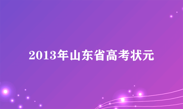 2013年山东省高考状元