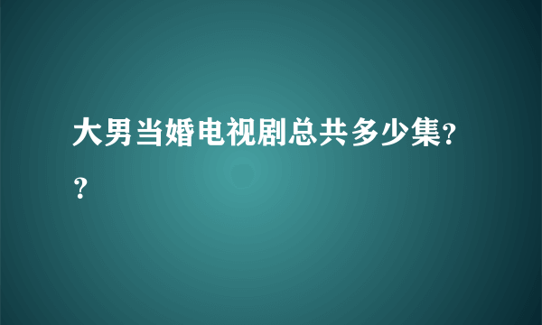 大男当婚电视剧总共多少集？？