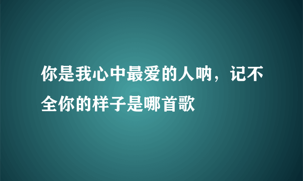 你是我心中最爱的人呐，记不全你的样子是哪首歌