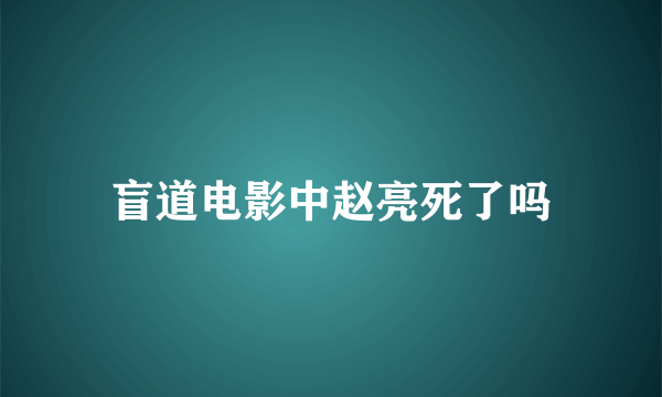 盲道电影中赵亮死了吗