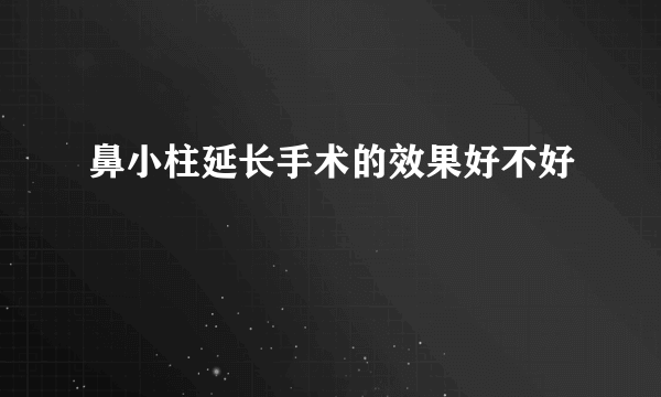 鼻小柱延长手术的效果好不好