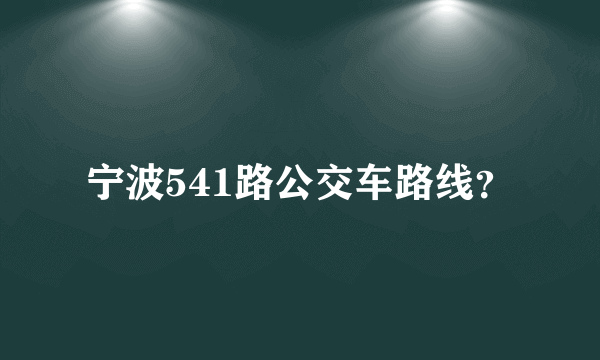 宁波541路公交车路线？