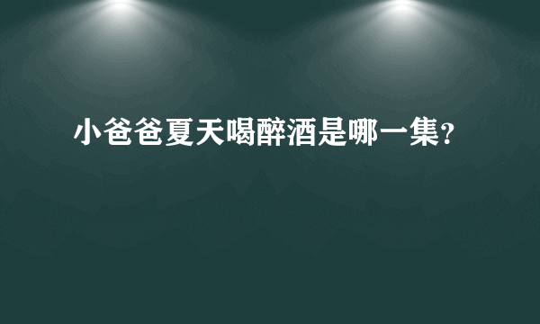 小爸爸夏天喝醉酒是哪一集？