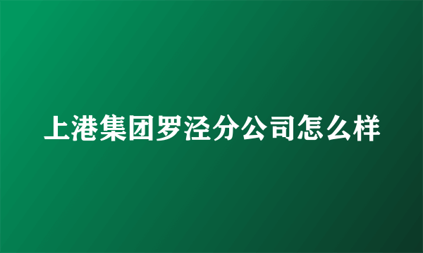 上港集团罗泾分公司怎么样