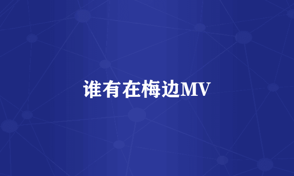 谁有在梅边MV