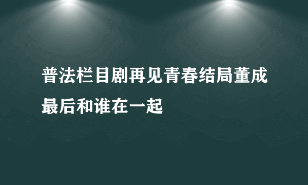 普法栏目剧再见青春结局董成最后和谁在一起