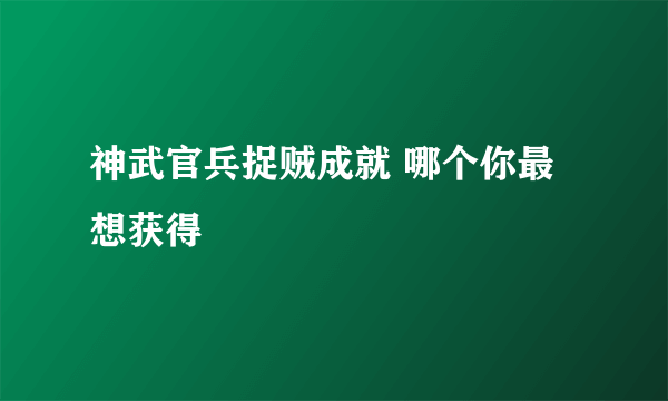 神武官兵捉贼成就 哪个你最想获得