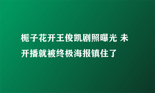 栀子花开王俊凯剧照曝光 未开播就被终极海报镇住了