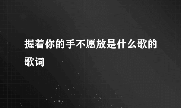 握着你的手不愿放是什么歌的歌词