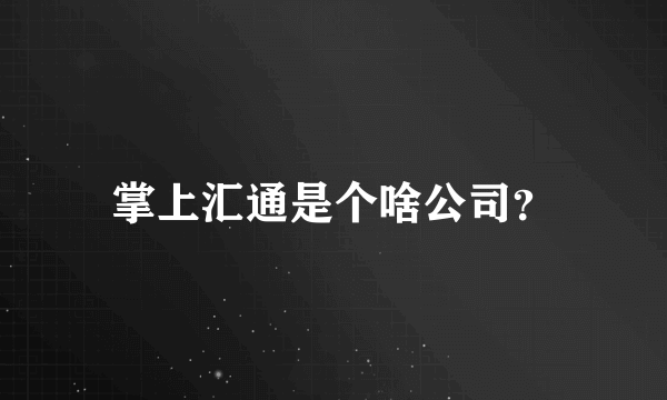 掌上汇通是个啥公司？