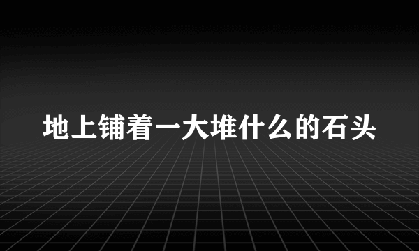 地上铺着一大堆什么的石头