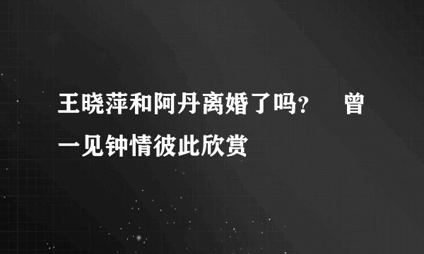 王晓萍和阿丹离婚了吗？   曾一见钟情彼此欣赏