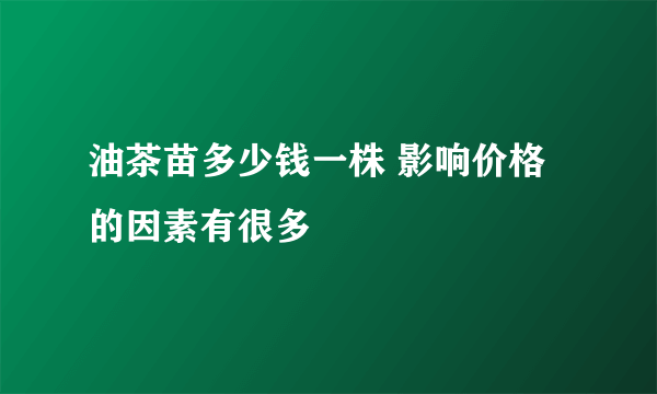 油茶苗多少钱一株 影响价格的因素有很多