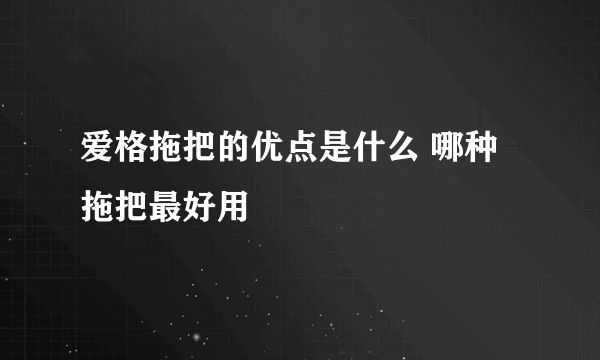 爱格拖把的优点是什么 哪种拖把最好用