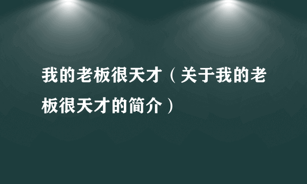 我的老板很天才（关于我的老板很天才的简介）