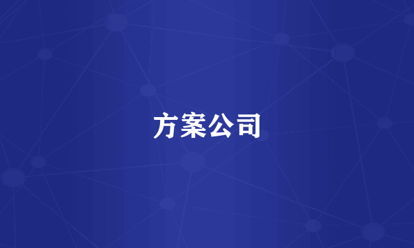 方案公司