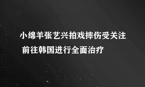 小绵羊张艺兴拍戏摔伤受关注 前往韩国进行全面治疗