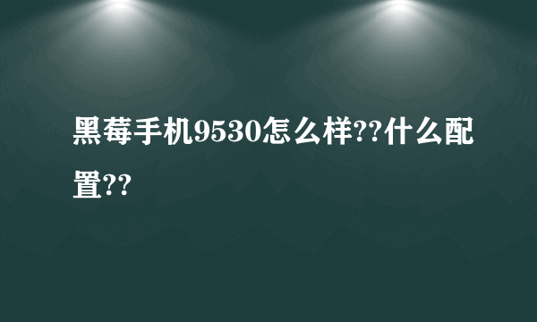 黑莓手机9530怎么样??什么配置??