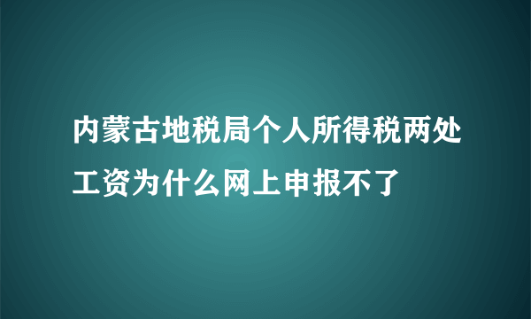 内蒙古地税局个人所得税两处工资为什么网上申报不了