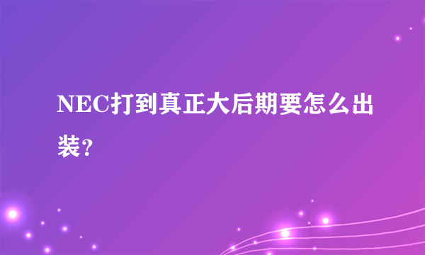 NEC打到真正大后期要怎么出装？