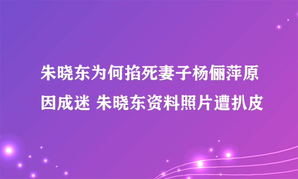 朱晓东为何掐死妻子杨俪萍原因成迷 朱晓东资料照片遭扒皮