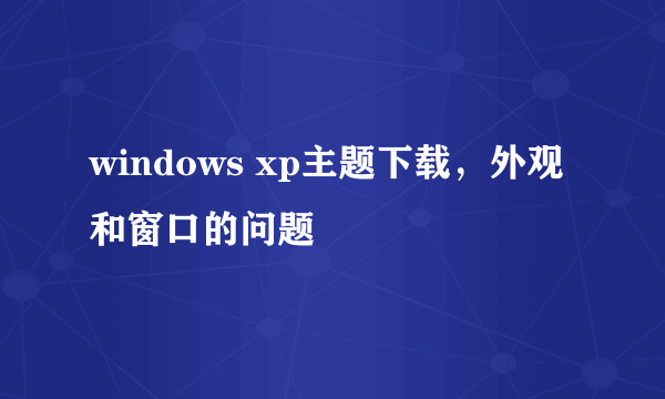 windows xp主题下载，外观和窗口的问题