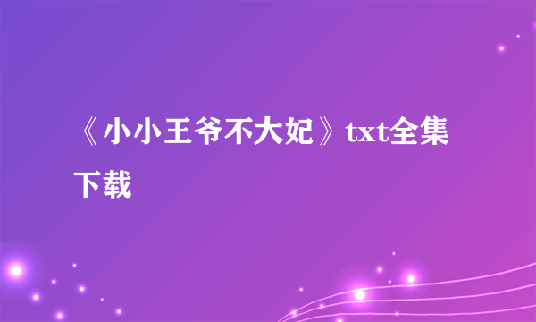 《小小王爷不大妃》txt全集下载