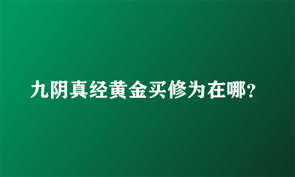 九阴真经黄金买修为在哪？