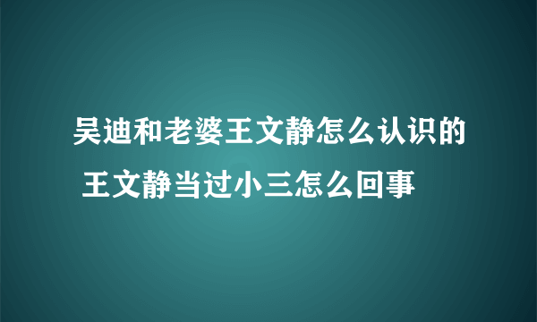 吴迪和老婆王文静怎么认识的 王文静当过小三怎么回事