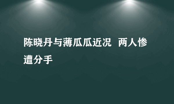 陈晓丹与薄瓜瓜近况  两人惨遭分手