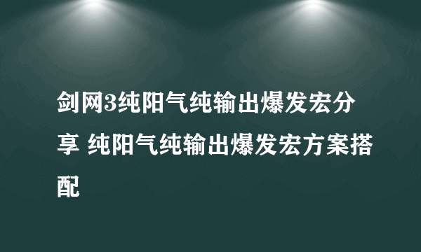 剑网3纯阳气纯输出爆发宏分享 纯阳气纯输出爆发宏方案搭配