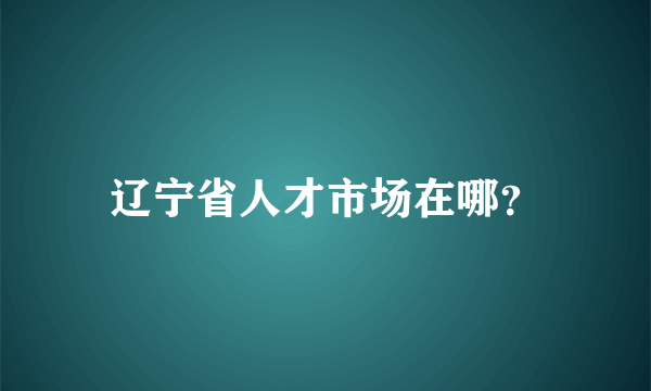 辽宁省人才市场在哪？