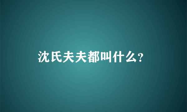 沈氏夫夫都叫什么？