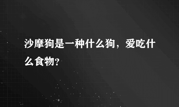 沙摩狗是一种什么狗，爱吃什么食物？