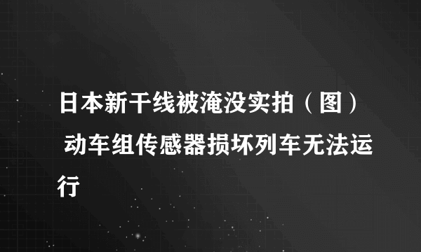 日本新干线被淹没实拍（图） 动车组传感器损坏列车无法运行